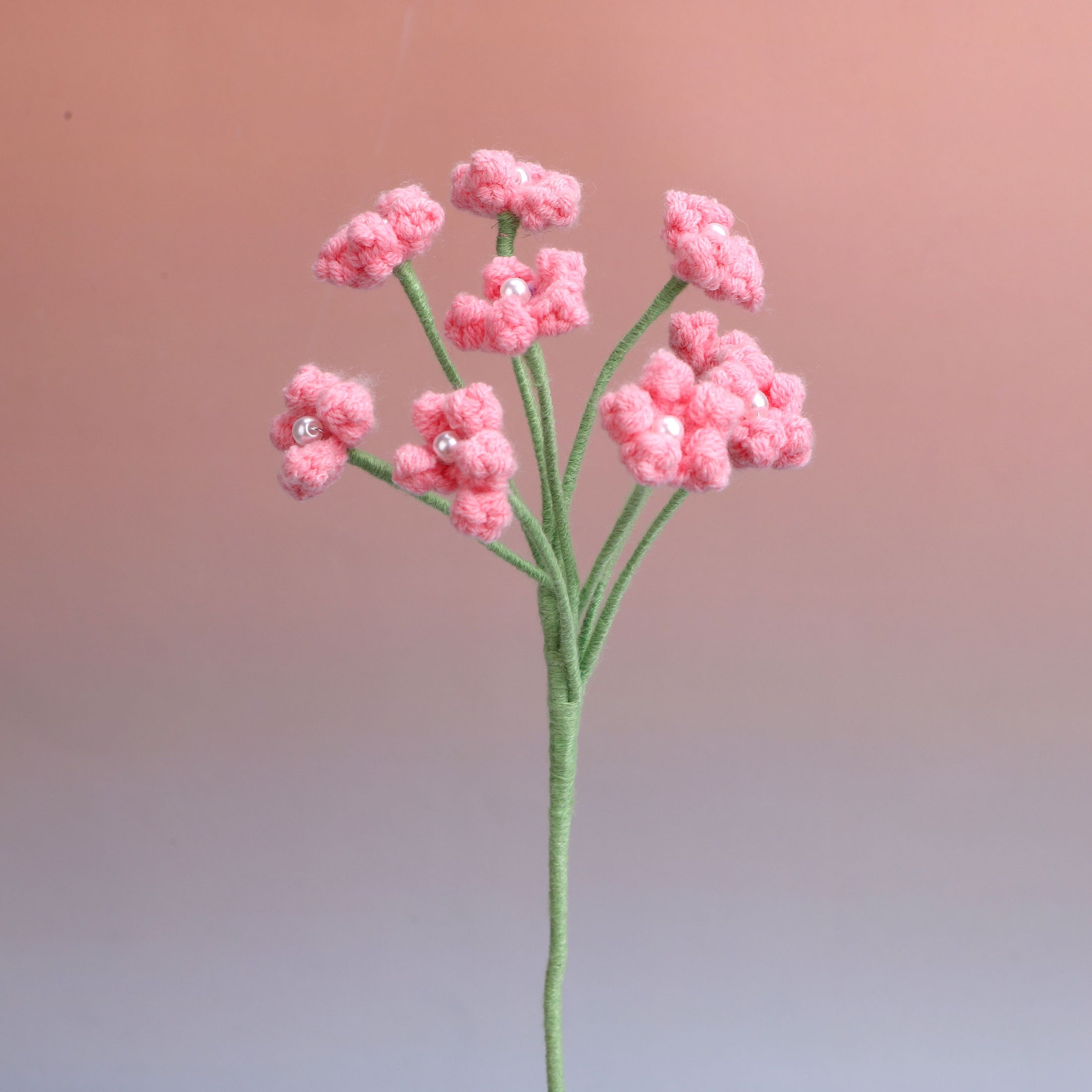 Baby's breath