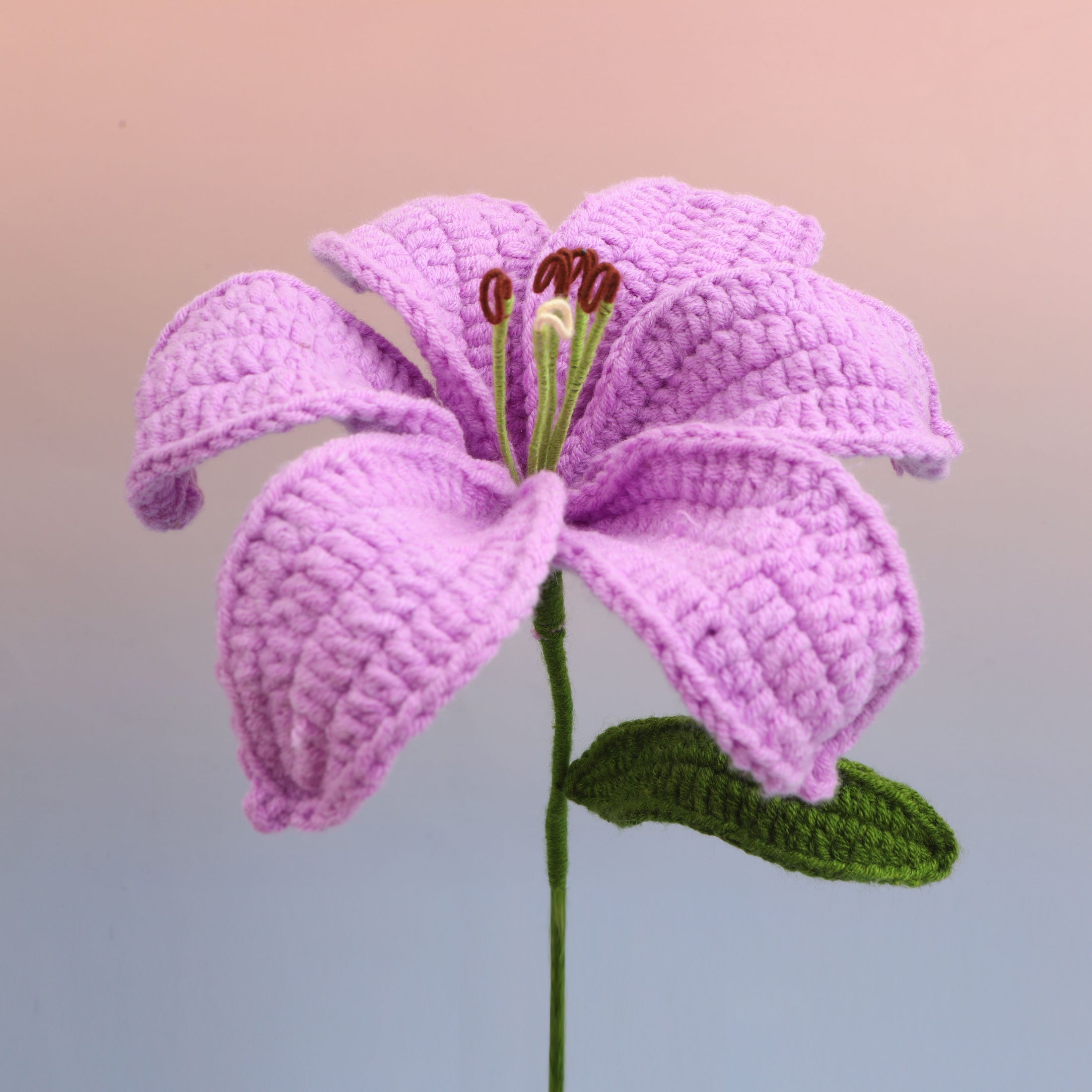 Lily