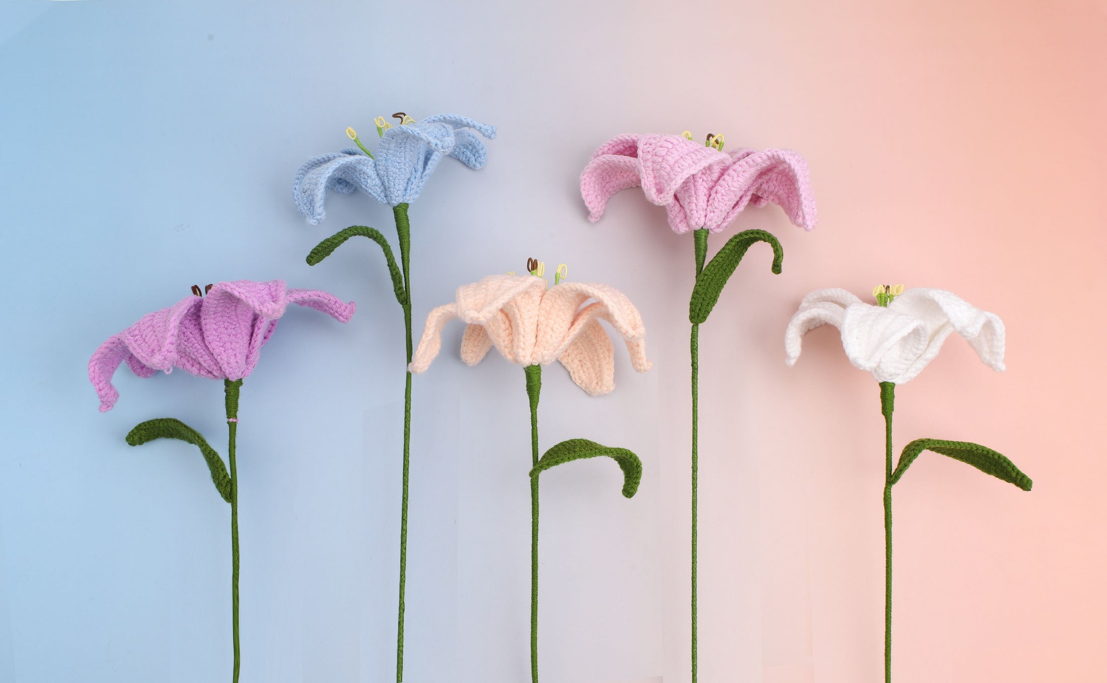 Lily