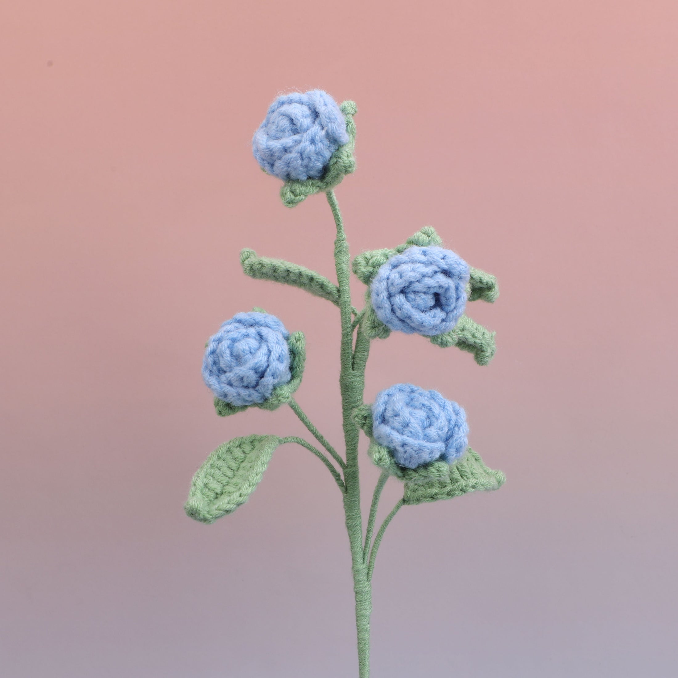 Rose-4