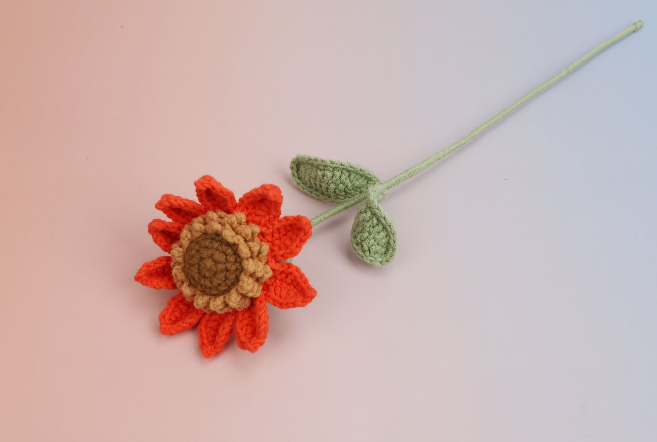 Premium sunflower