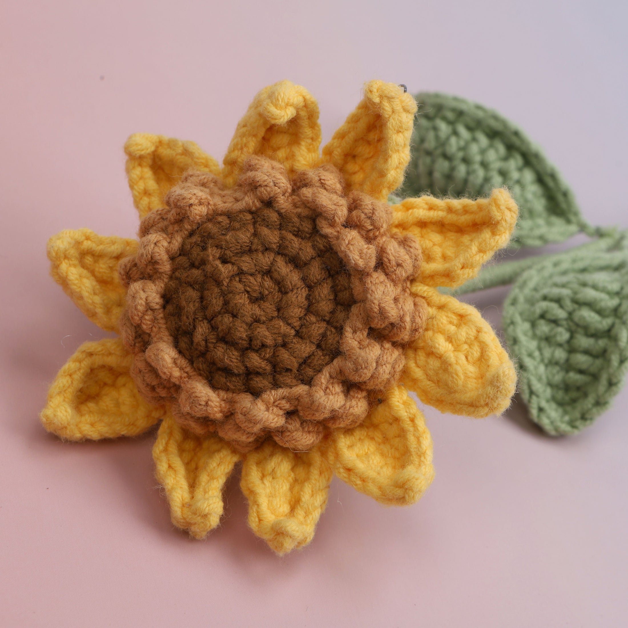 Premium sunflower