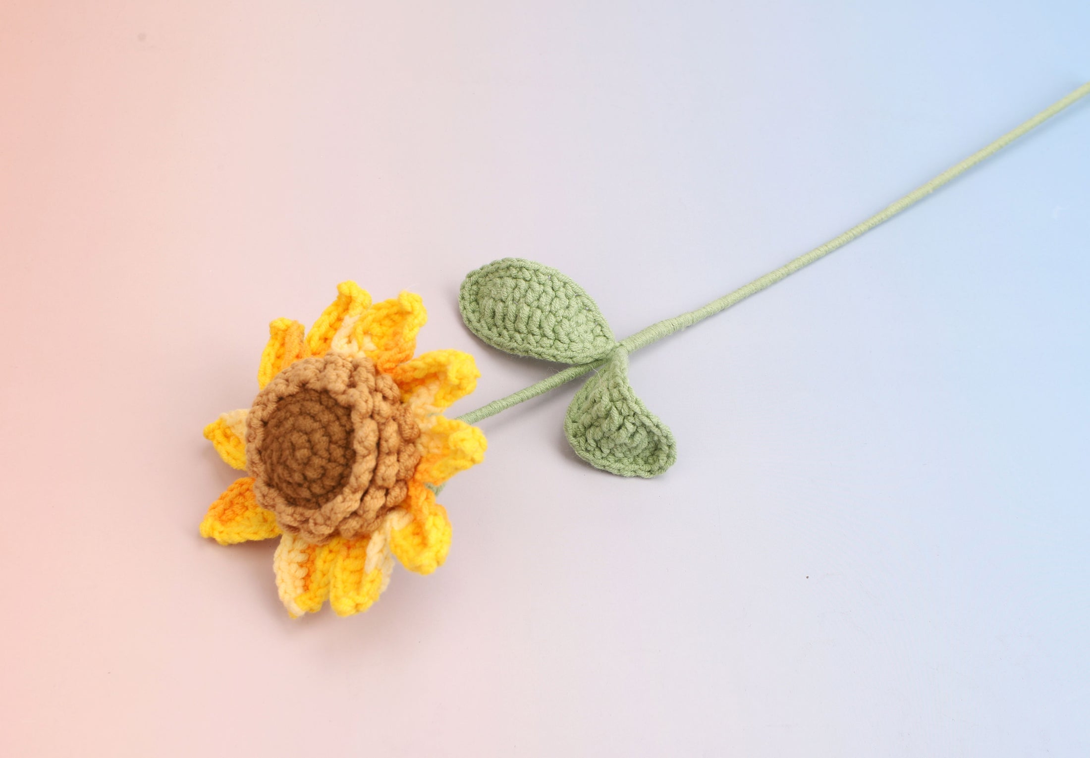Premium sunflower