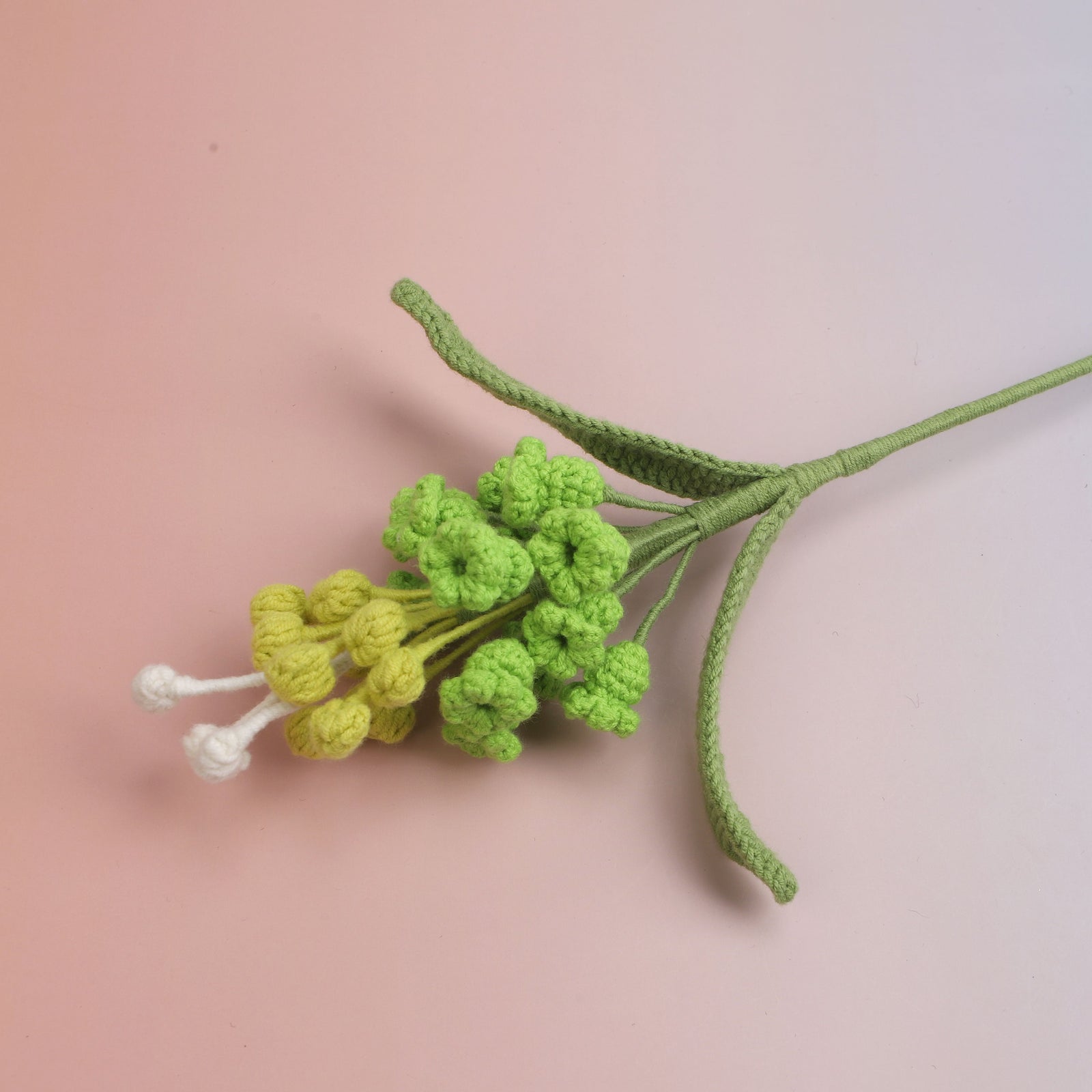 Hyacinthus