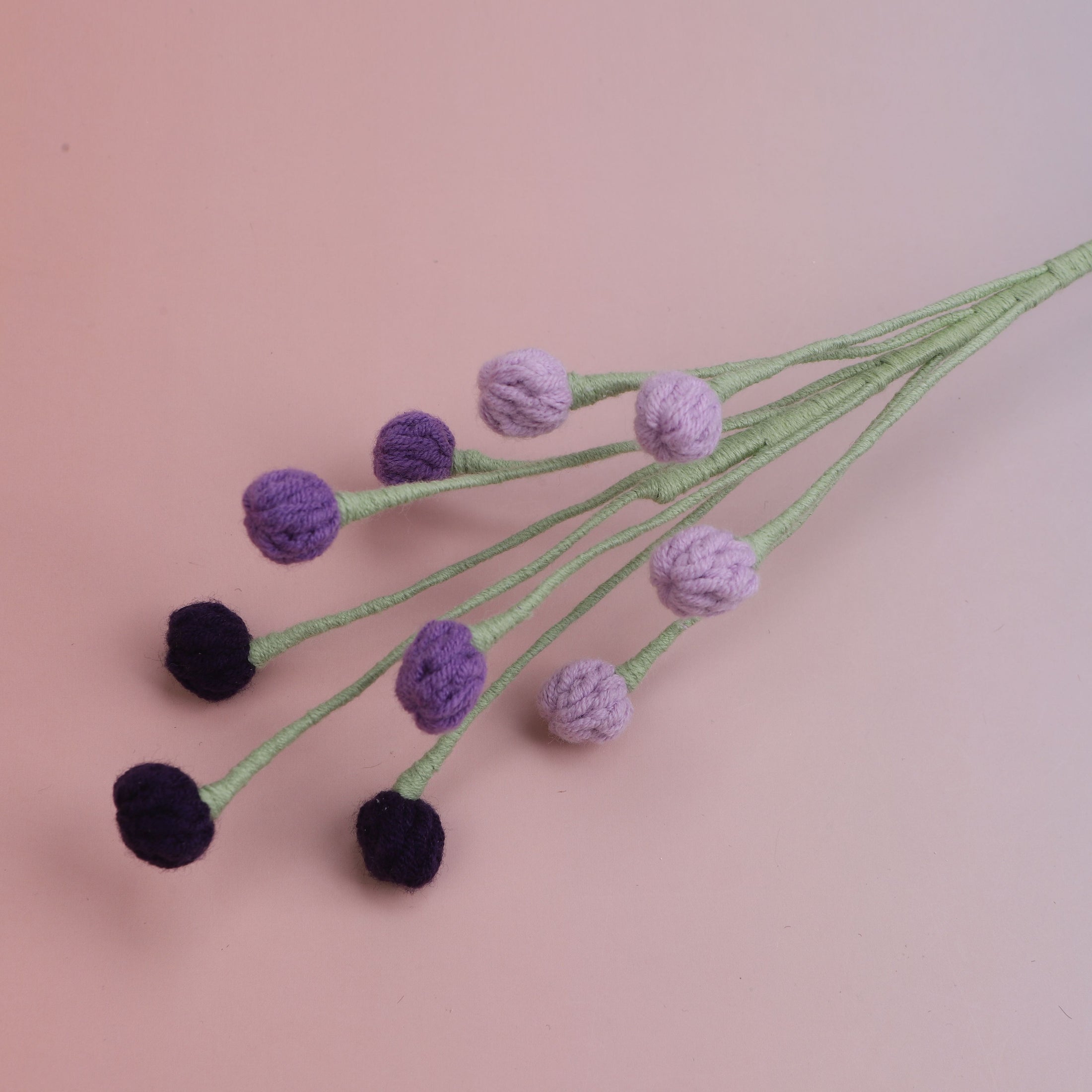 Snow Berry
