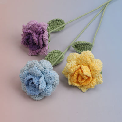 Colorful Rose