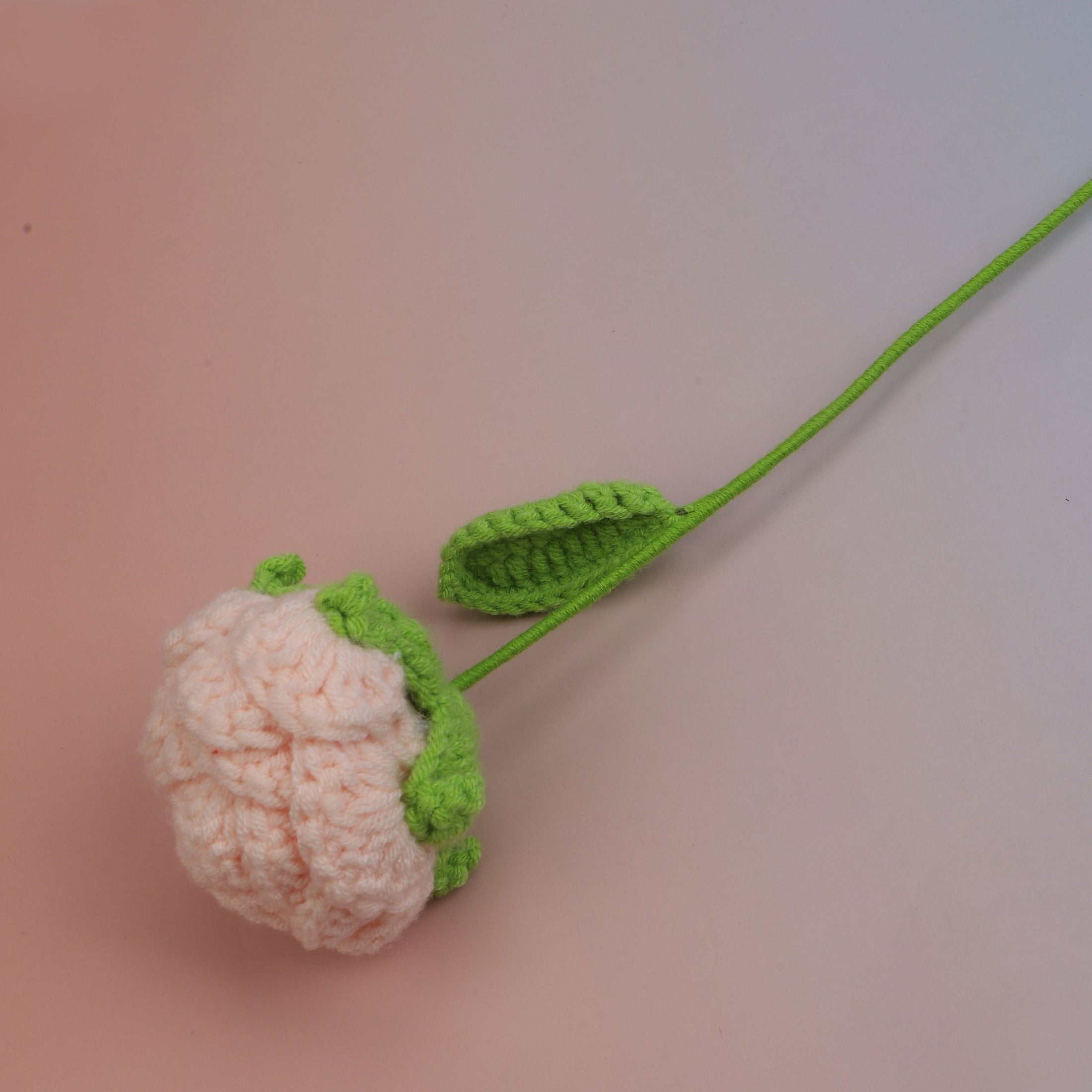 Round Rose
