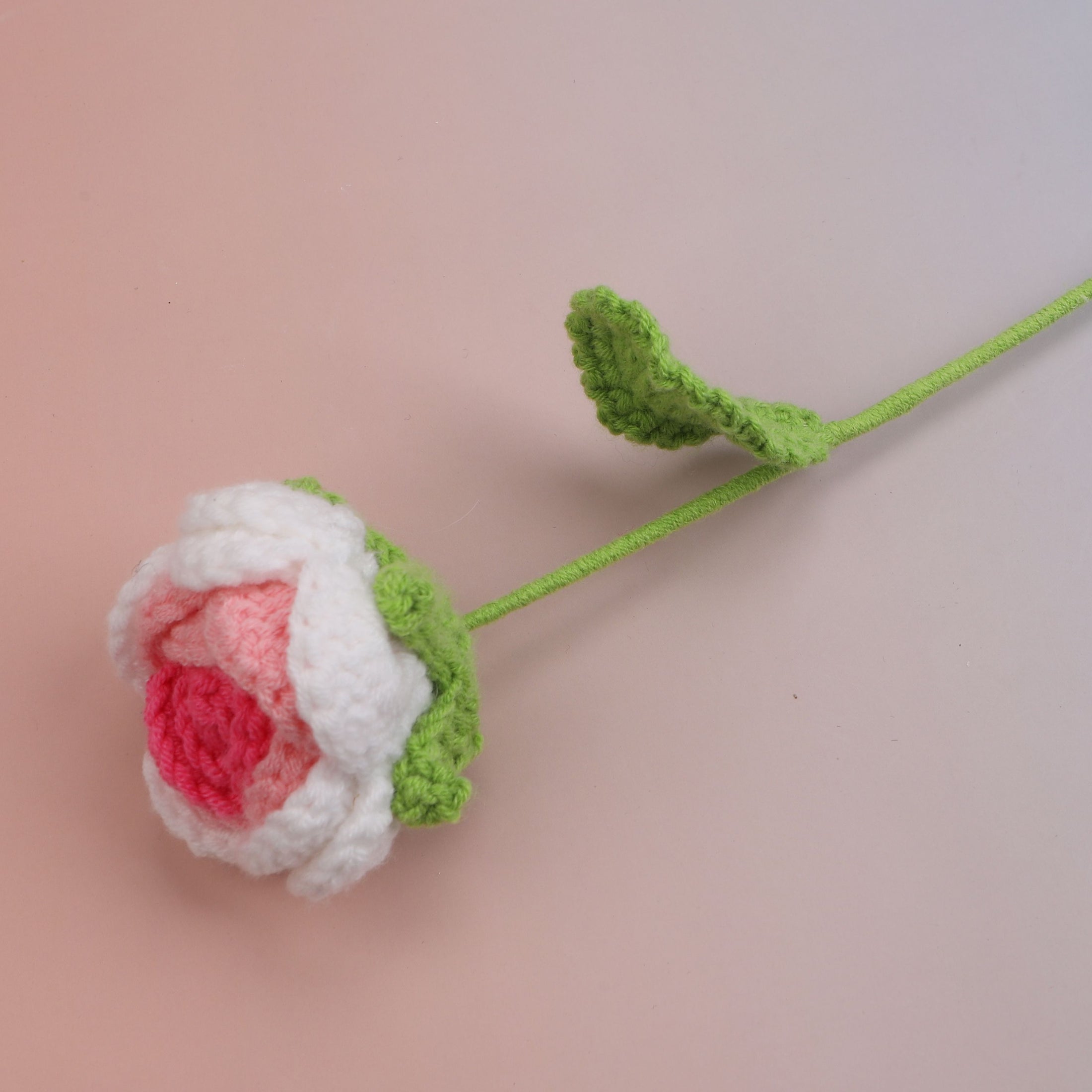 Round Rose
