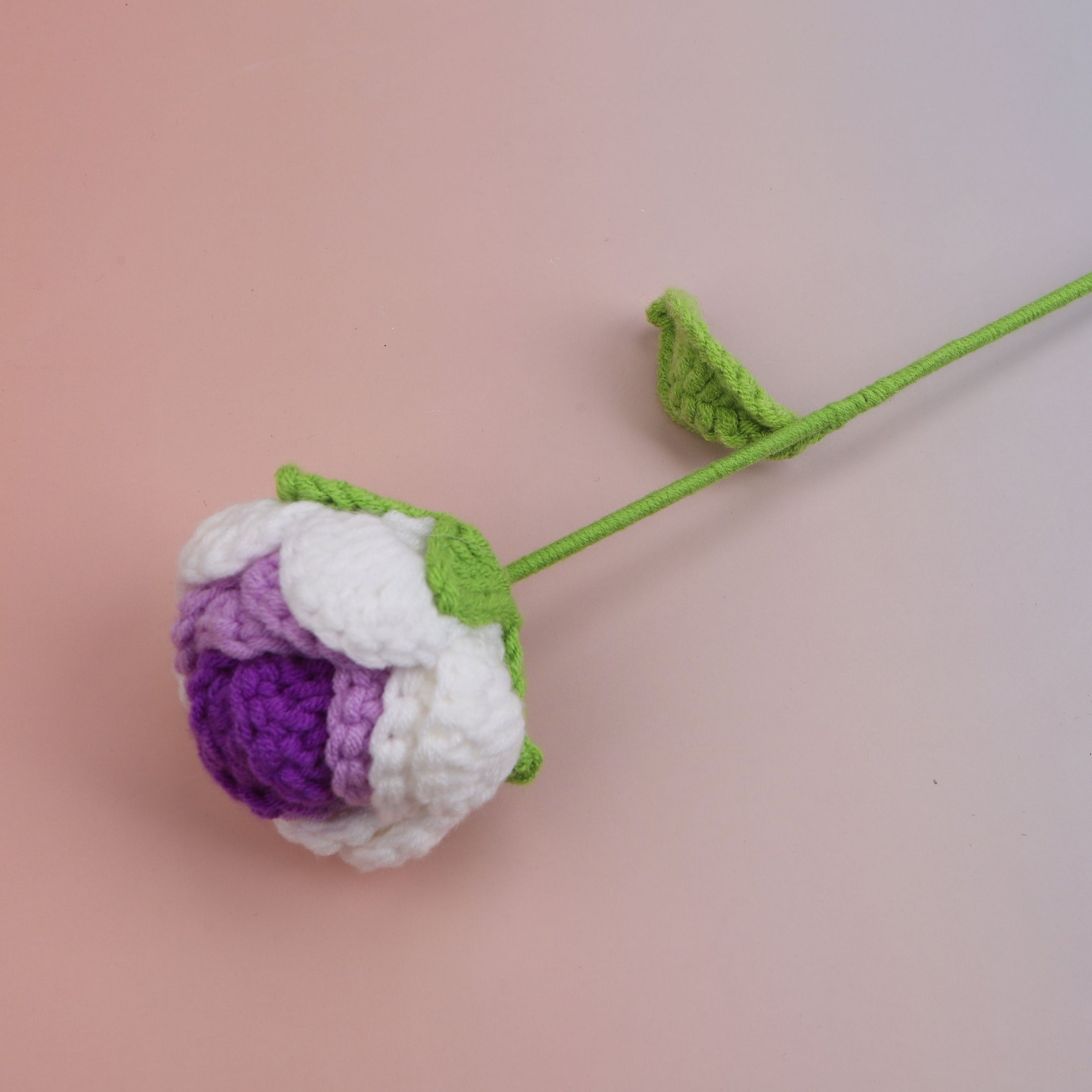 Round Rose