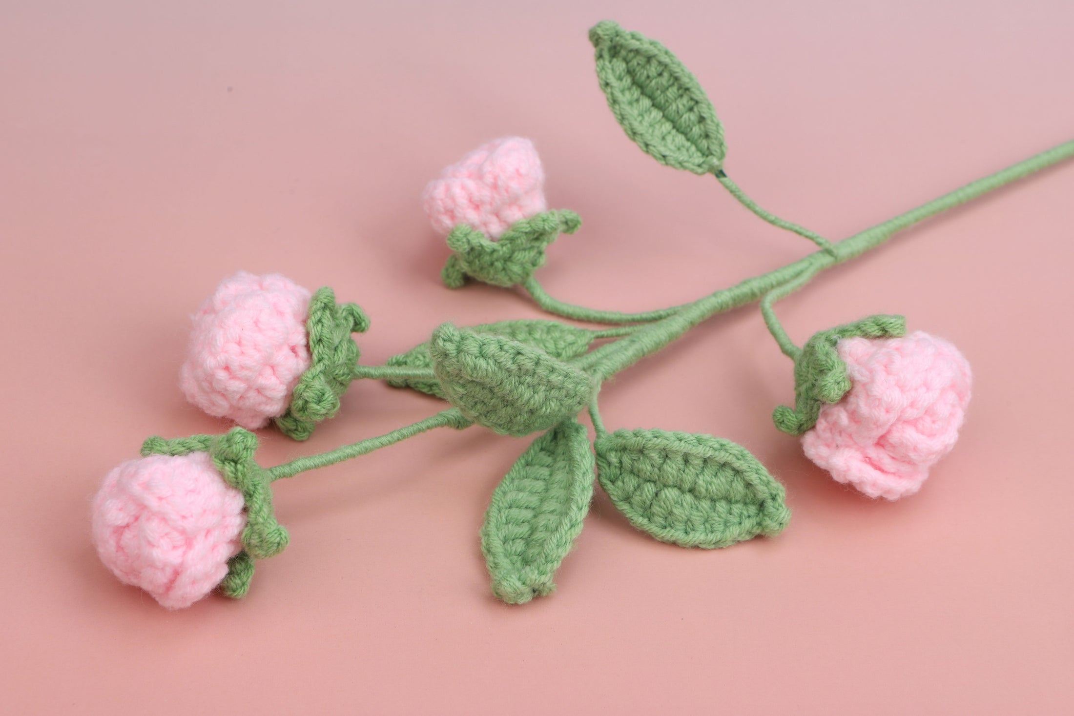 Rose-4