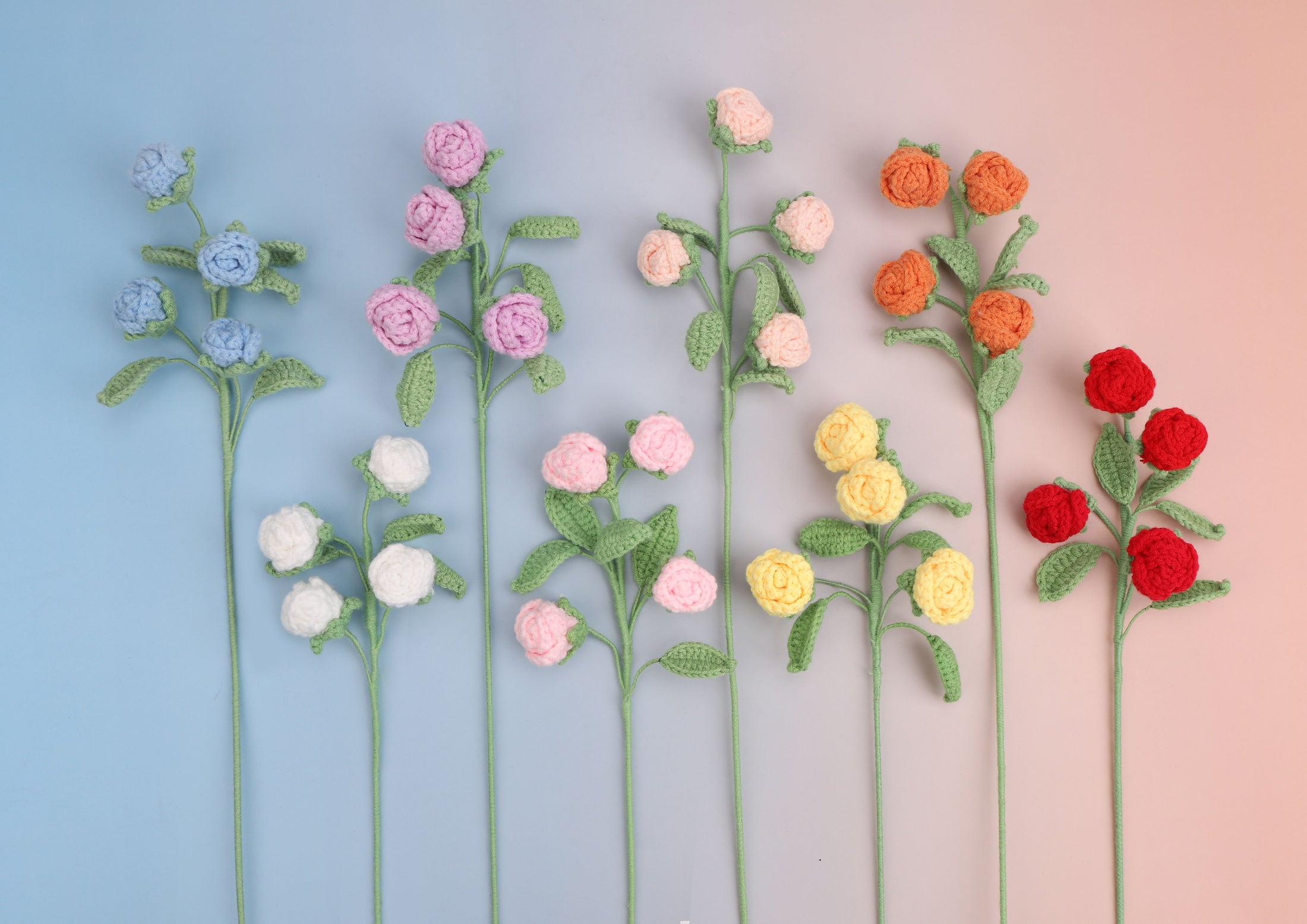 Rose-4