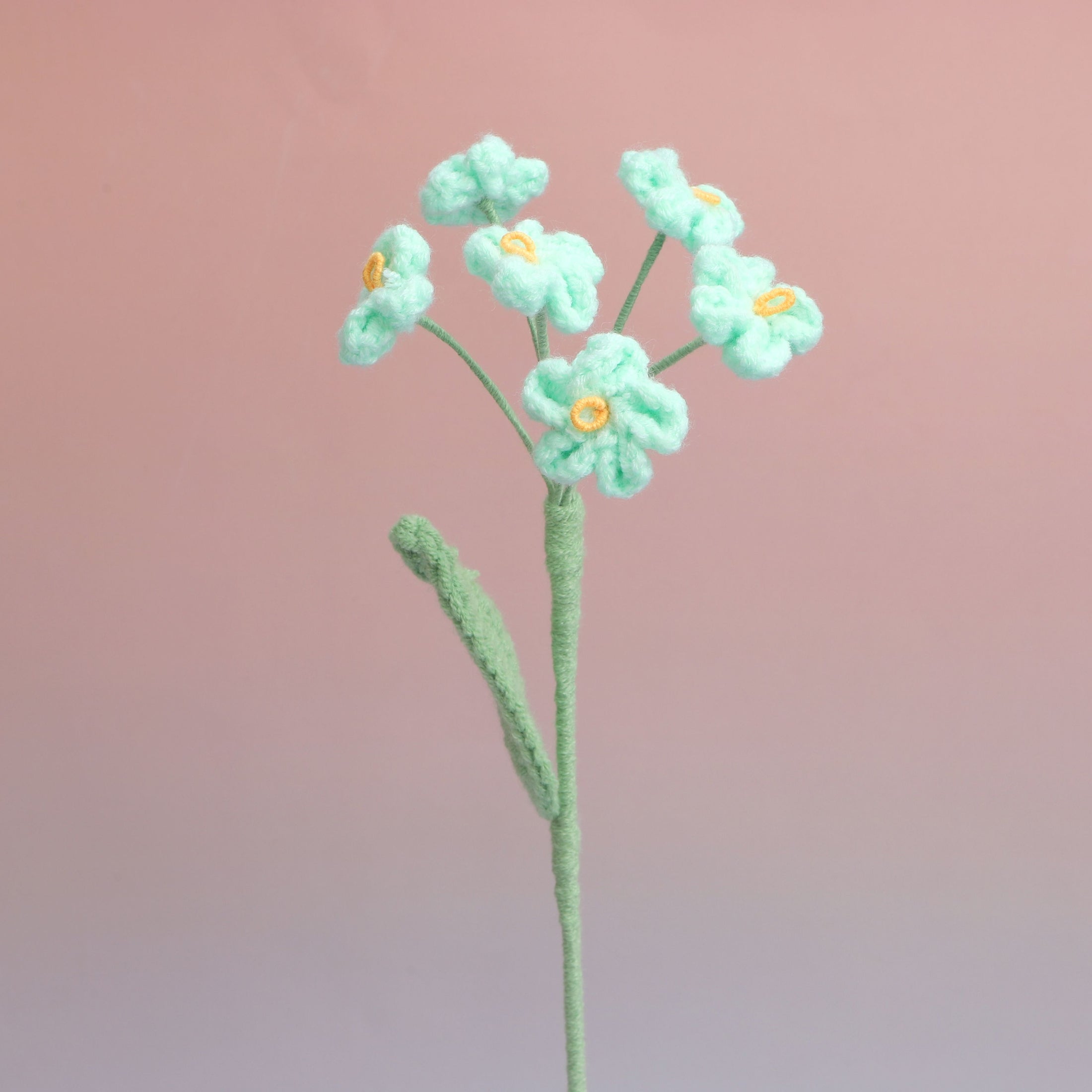 Forget me Not