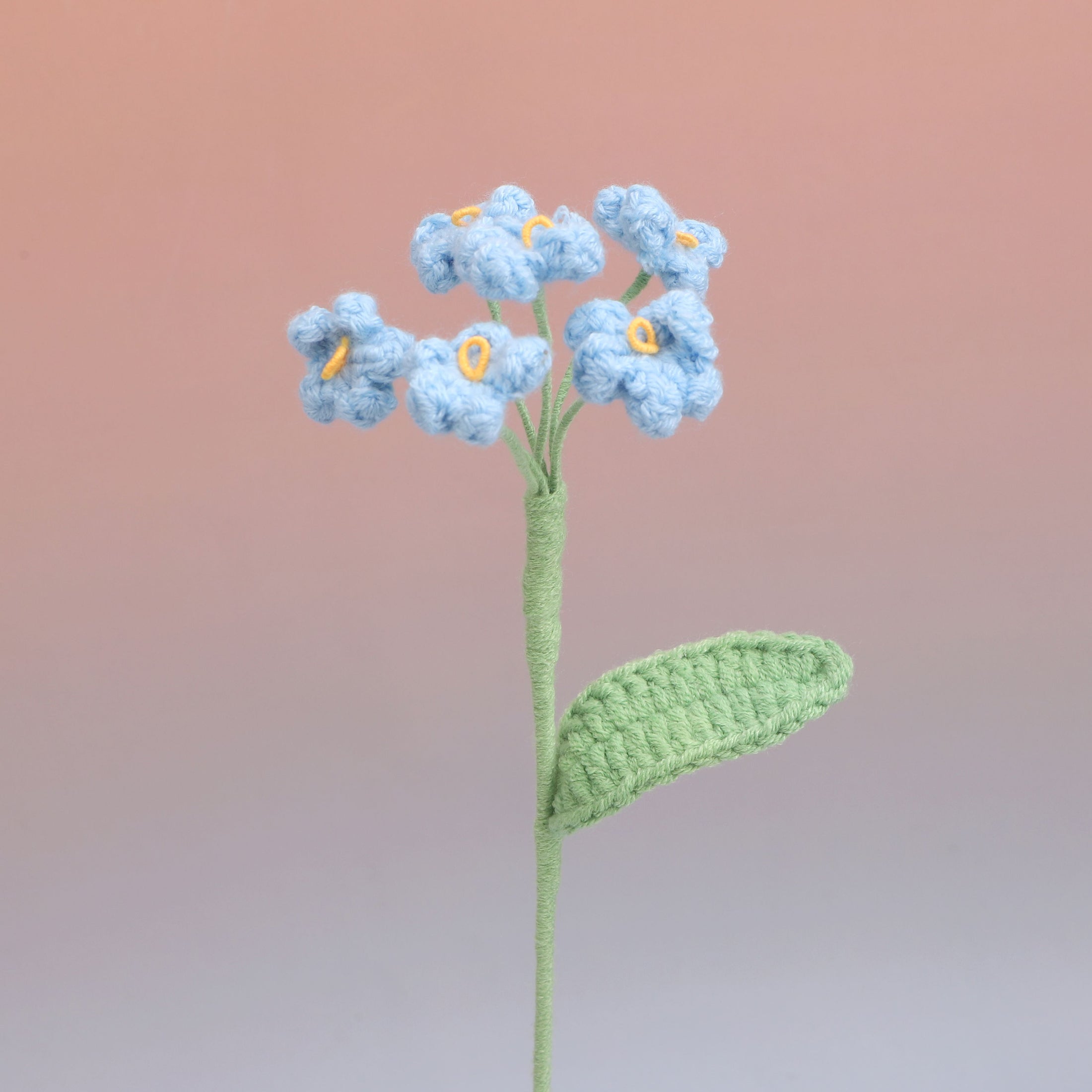 Forget me Not