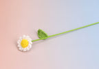 Little Daisy