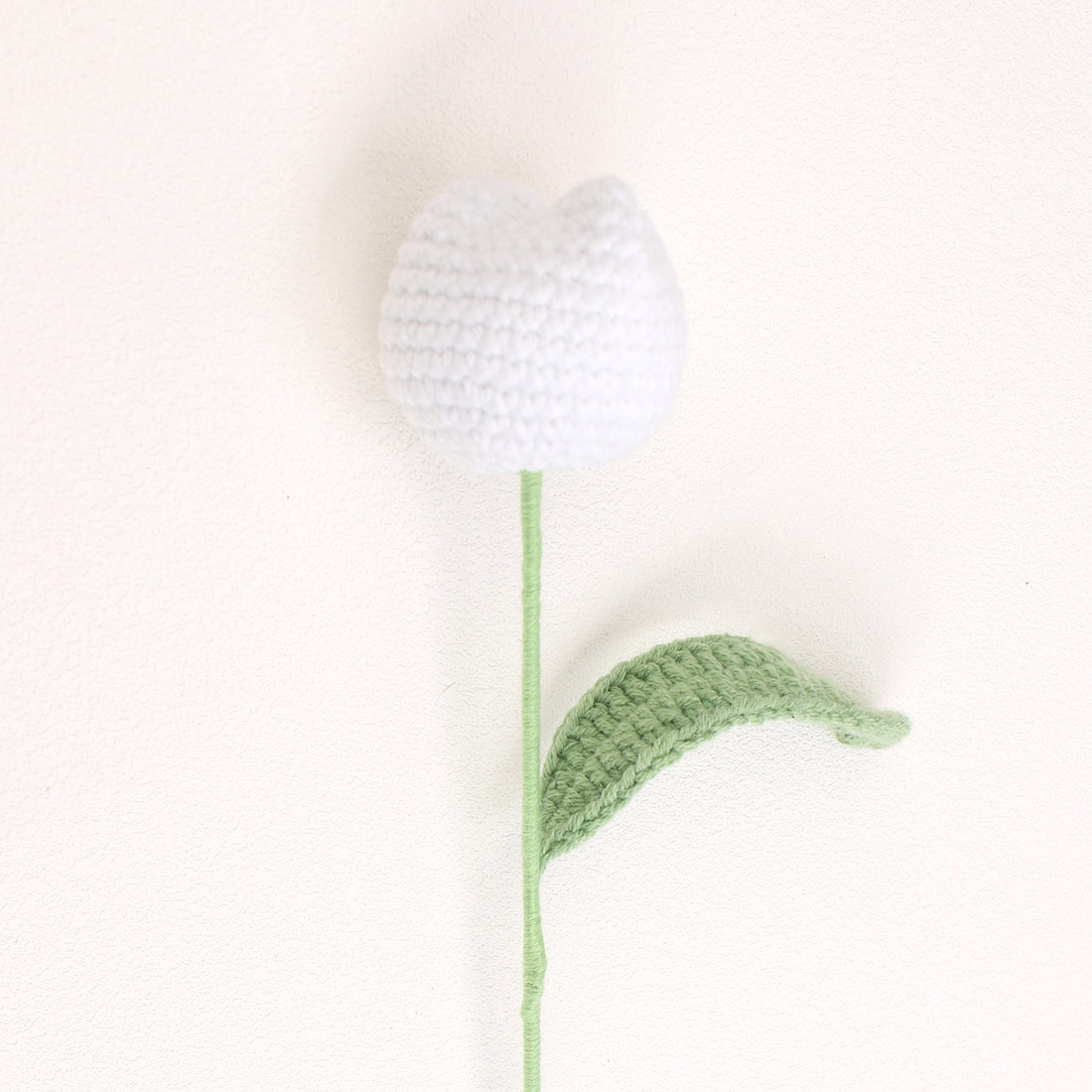 Round tulip bud — White