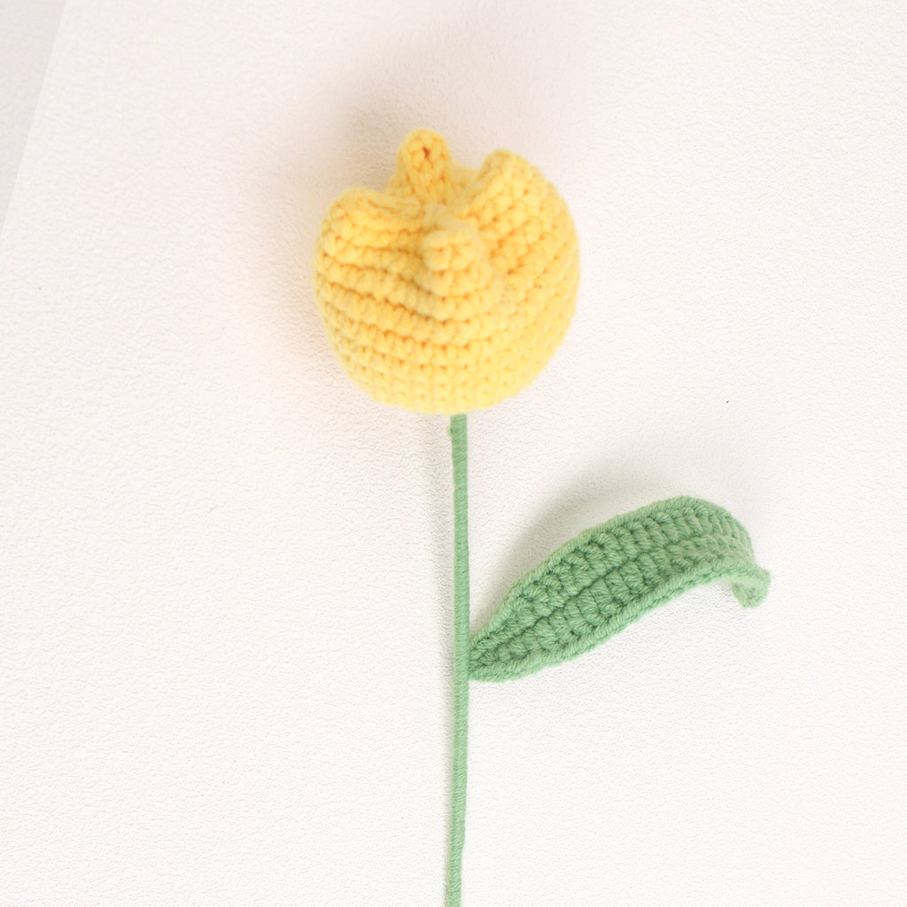Round tulip bud
