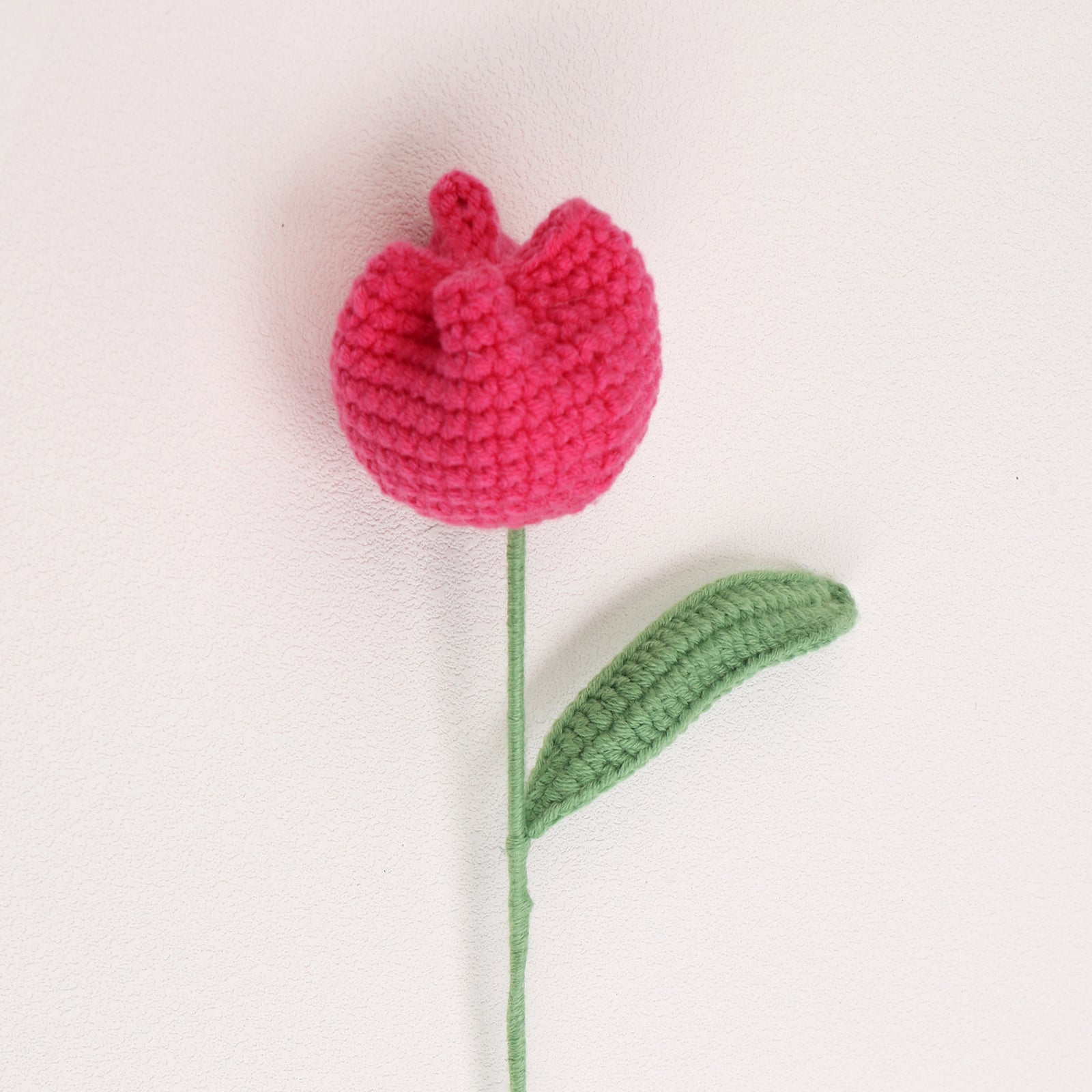 Round tulip bud