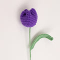 Cute tulip bud