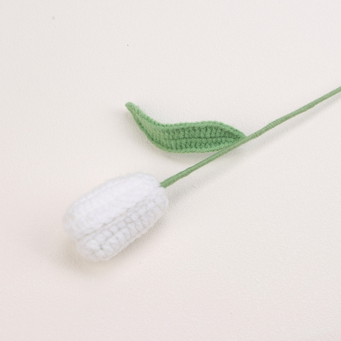 Tulip Buds — White