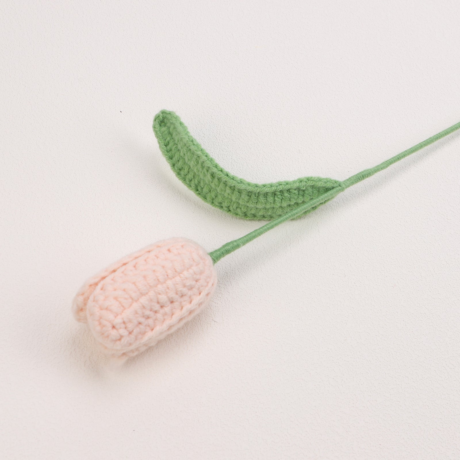 Tulip-Bud