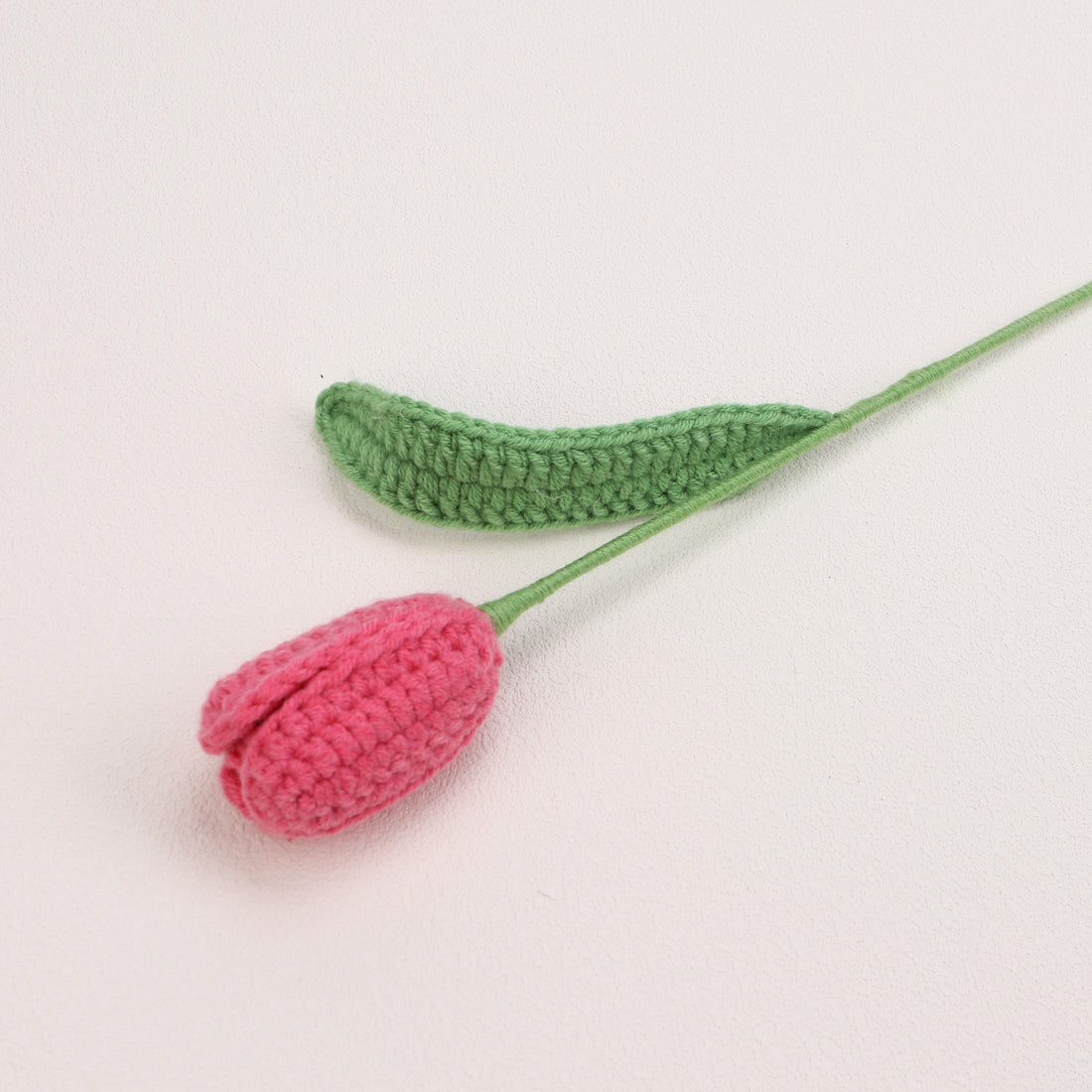 Tulip Buds — Fushia