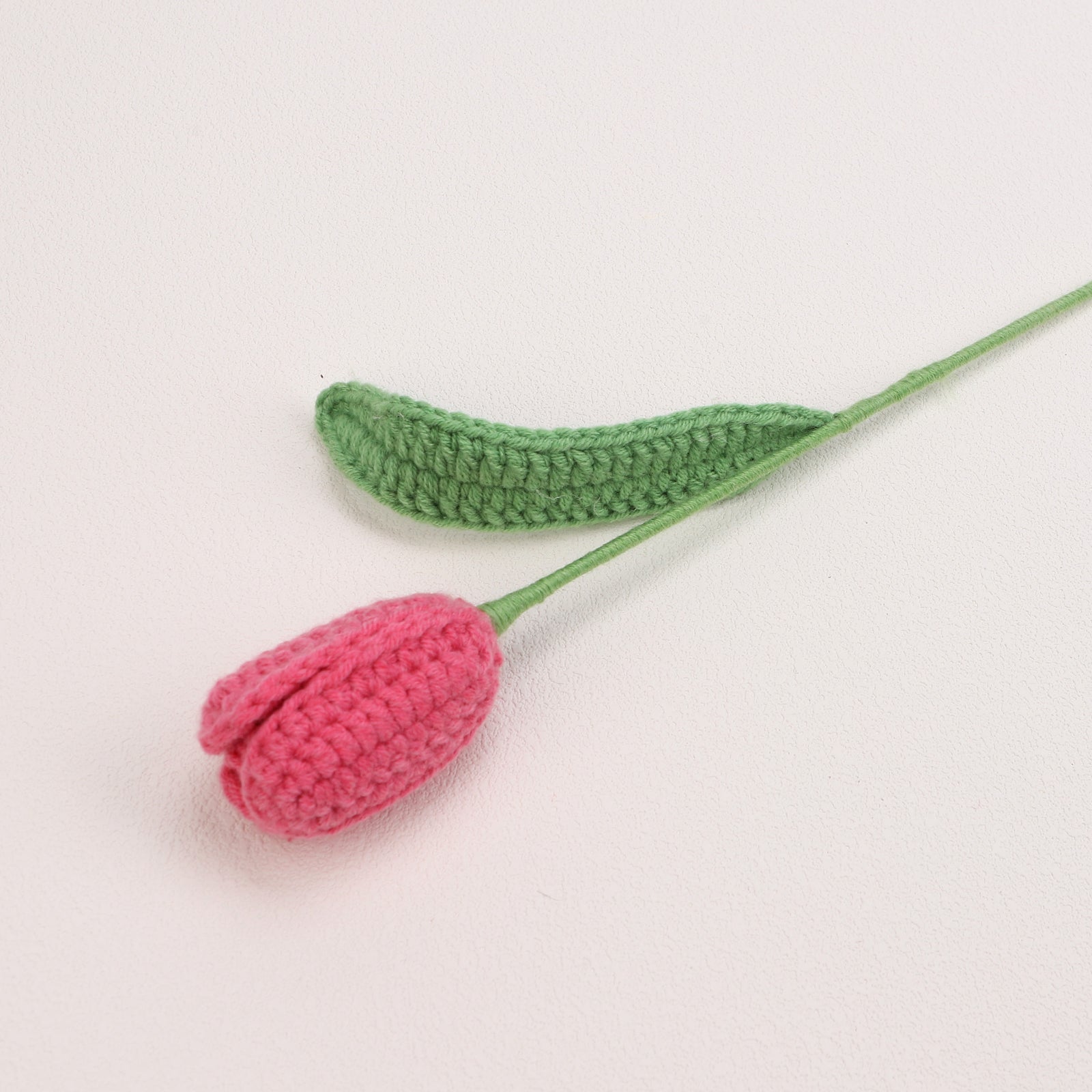 Tulip-Bud