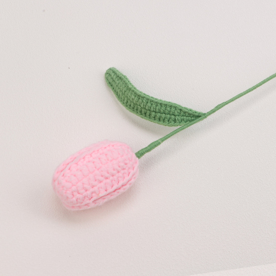 Tulip Buds — Pink
