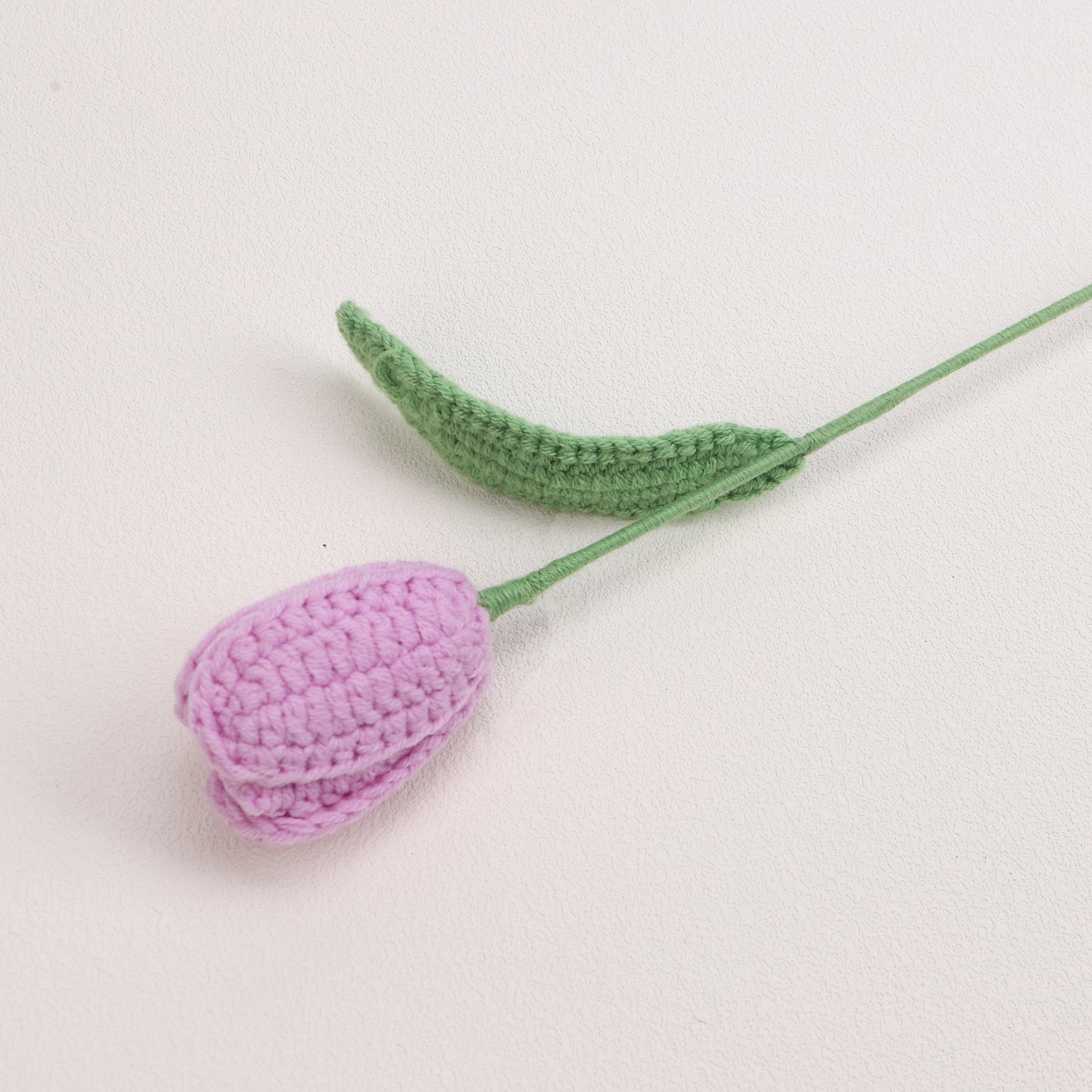 Tulip-Bud