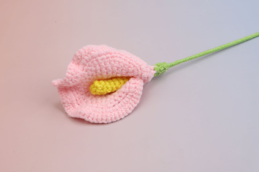 Arum Lily — Pink