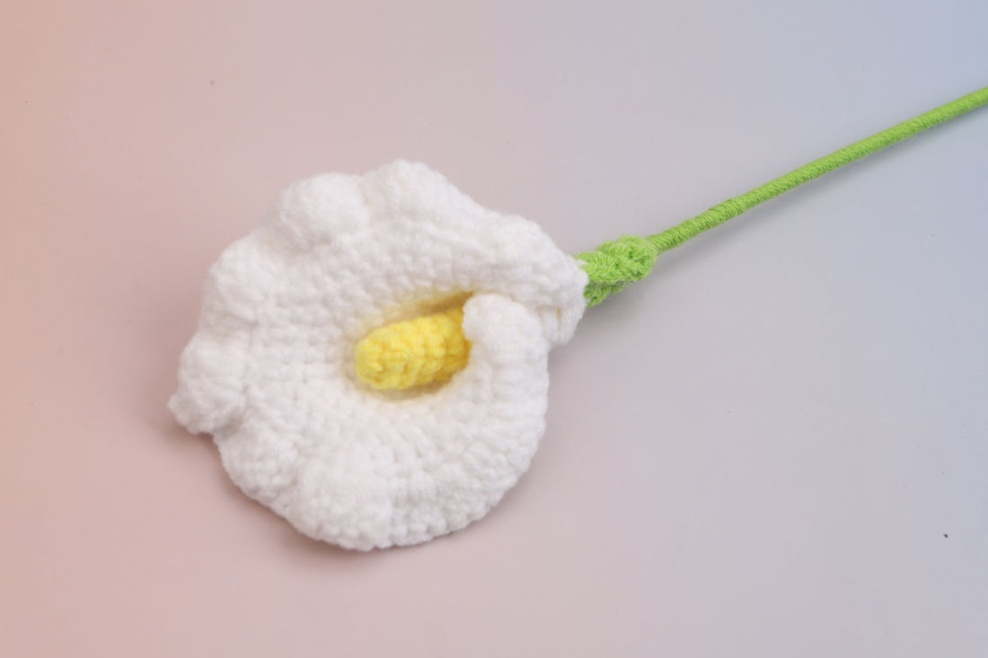 Arum Lily — White