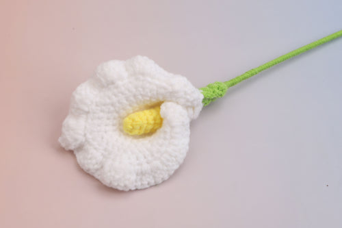 Arum Lily