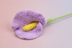 Arum Lily