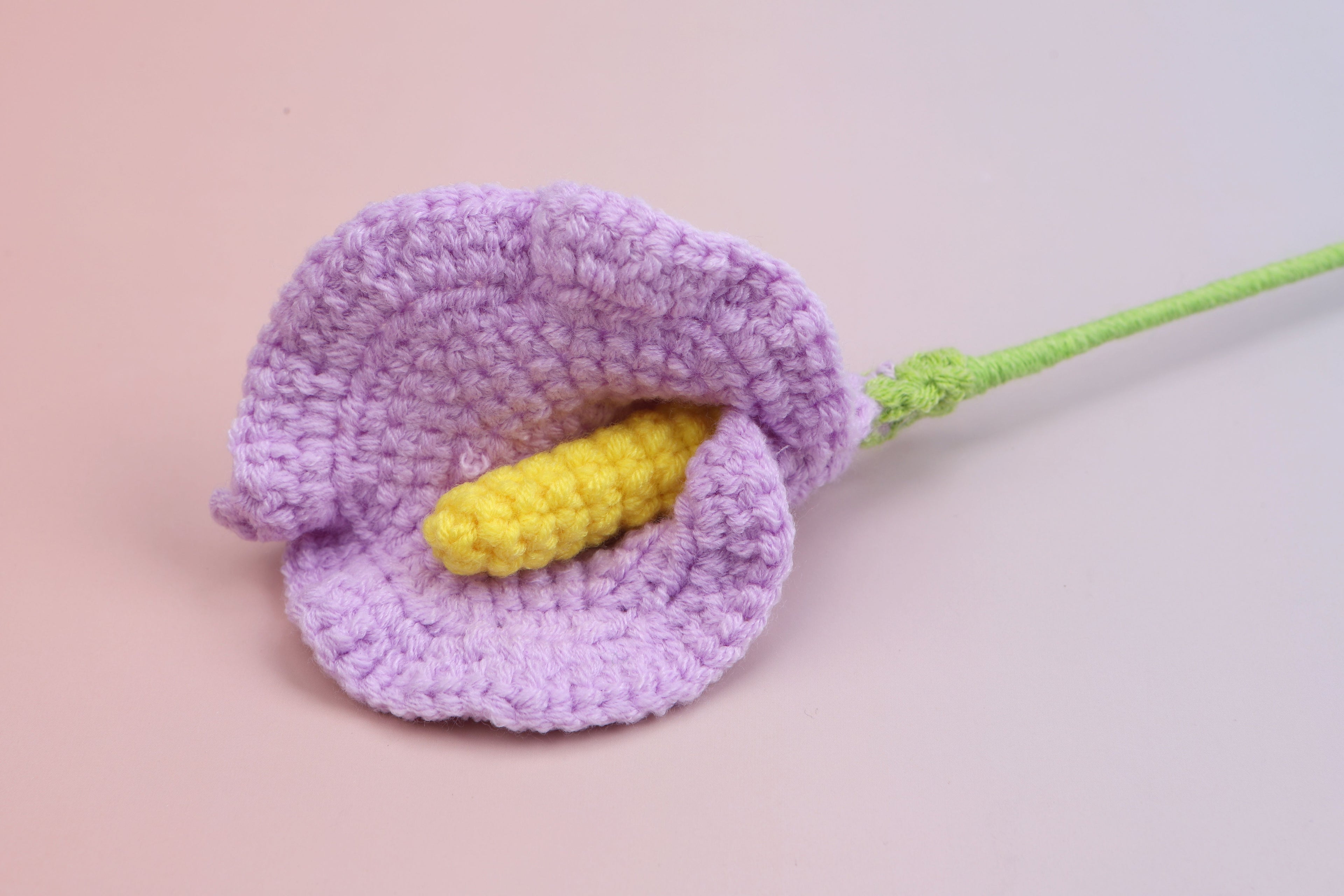 Arum Lily