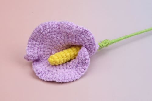 Arum Lily