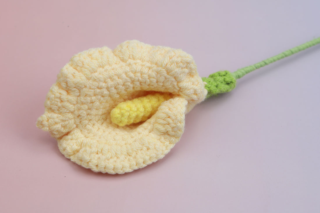Arum Lily — Yellow