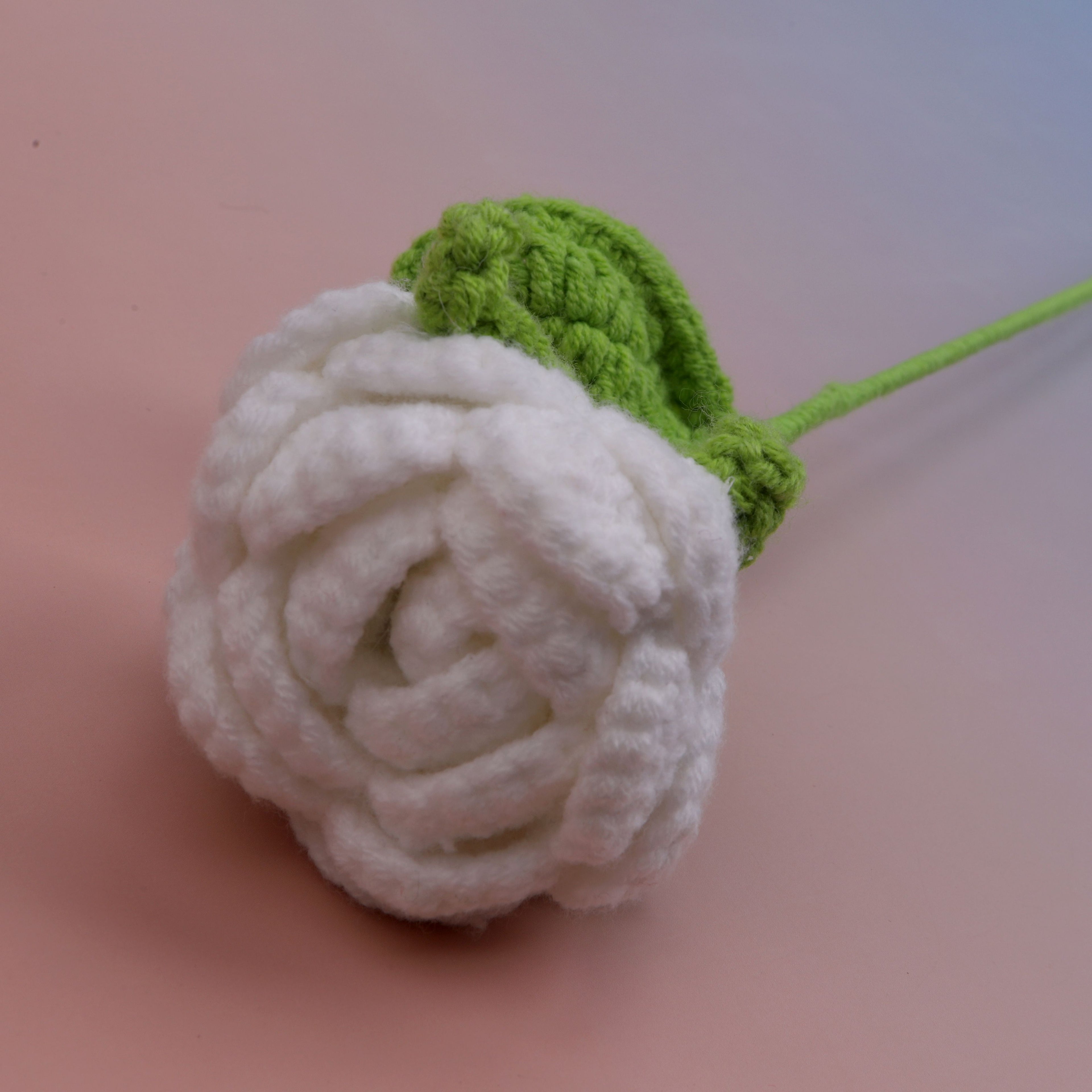 Round Rose