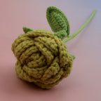 Round Rose