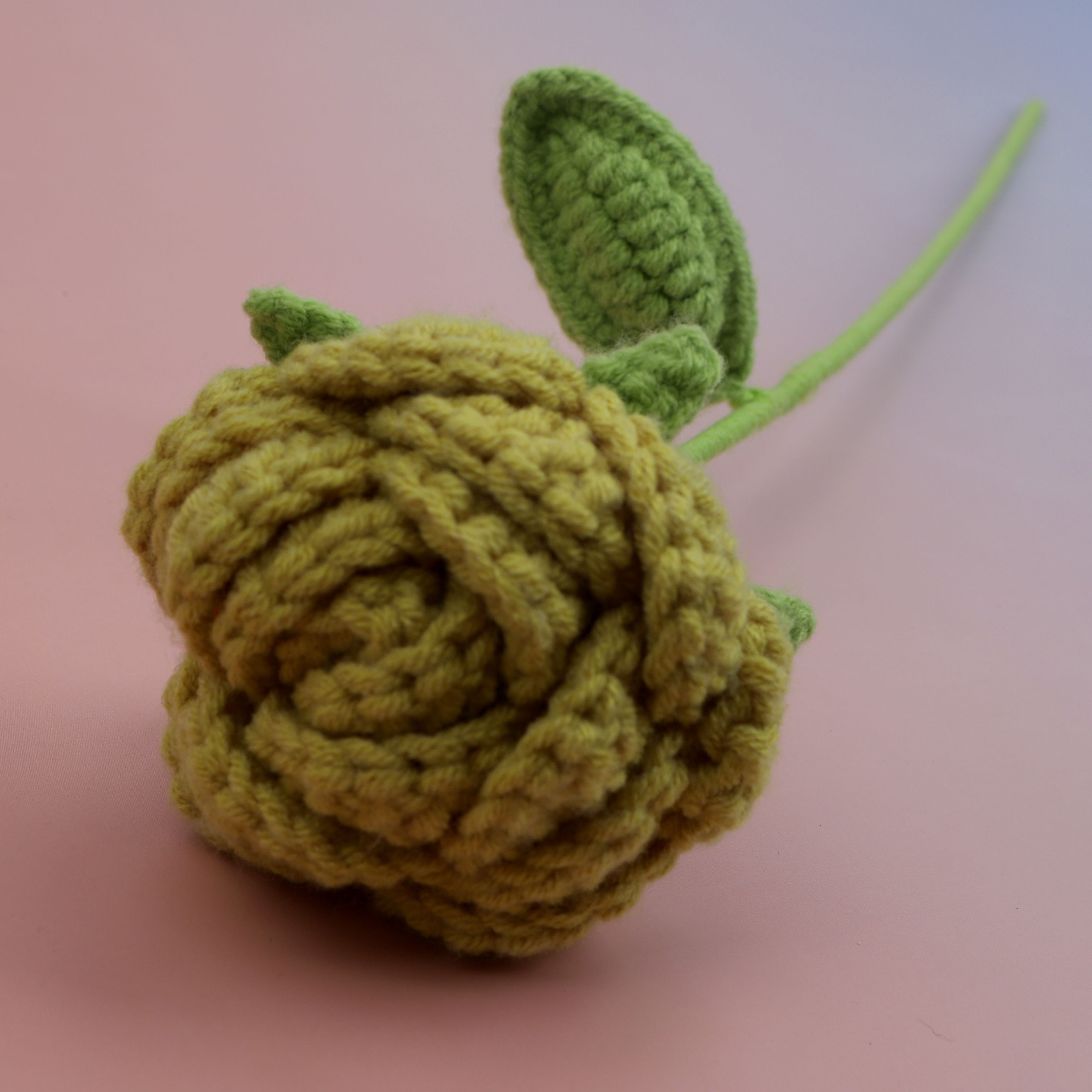 Round Rose