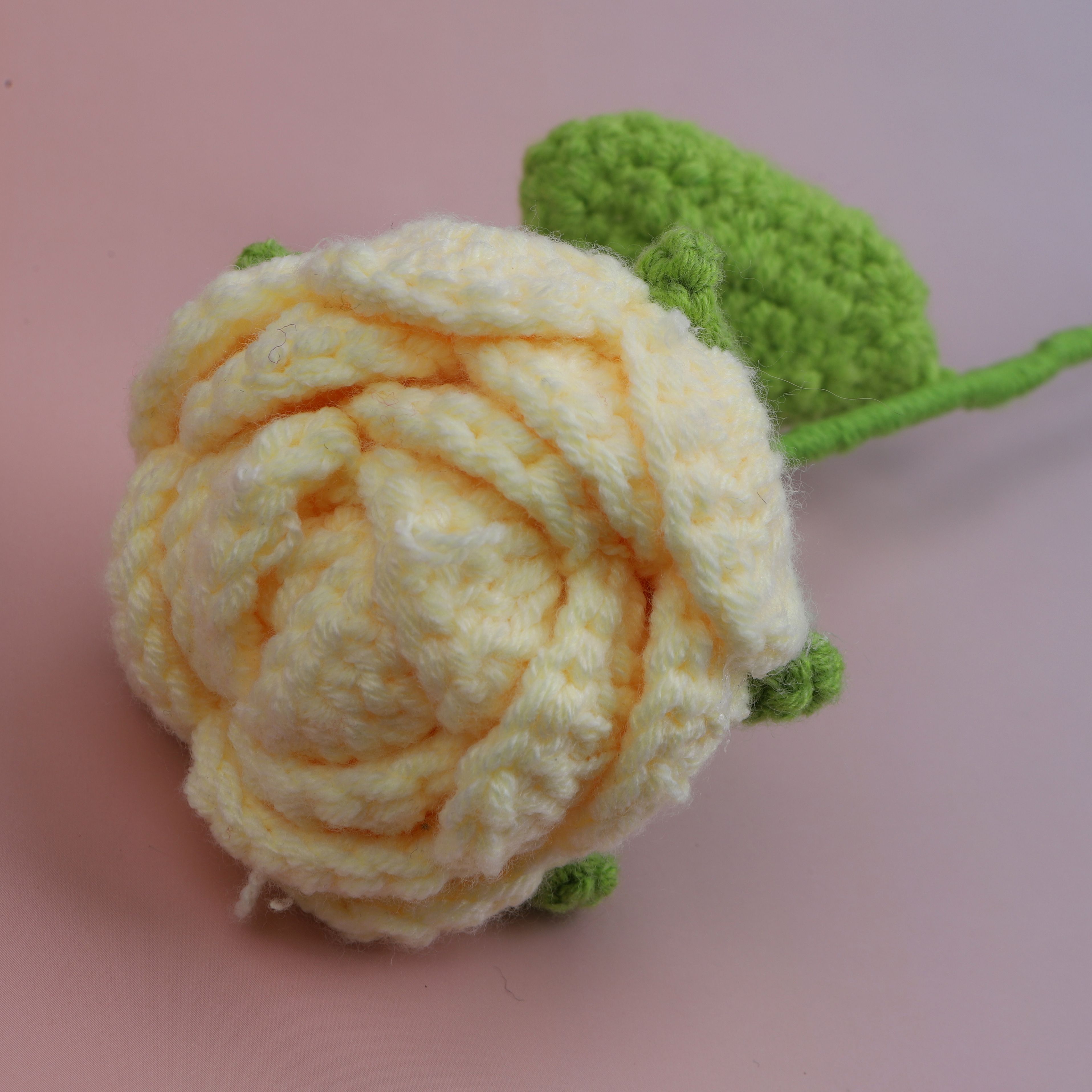 Round Rose