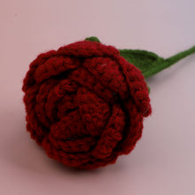 Round Rose