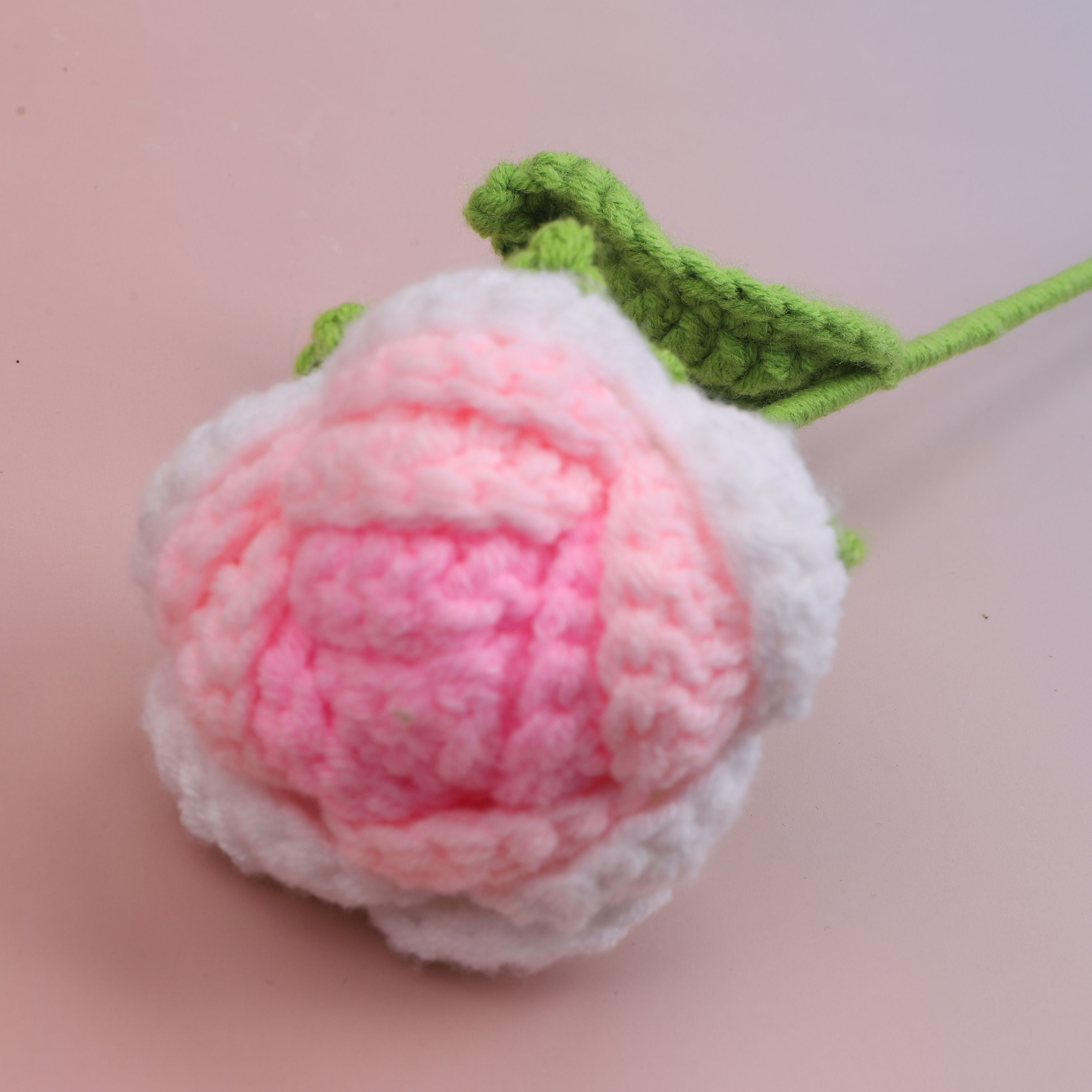 Round Rose