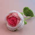 Round Rose