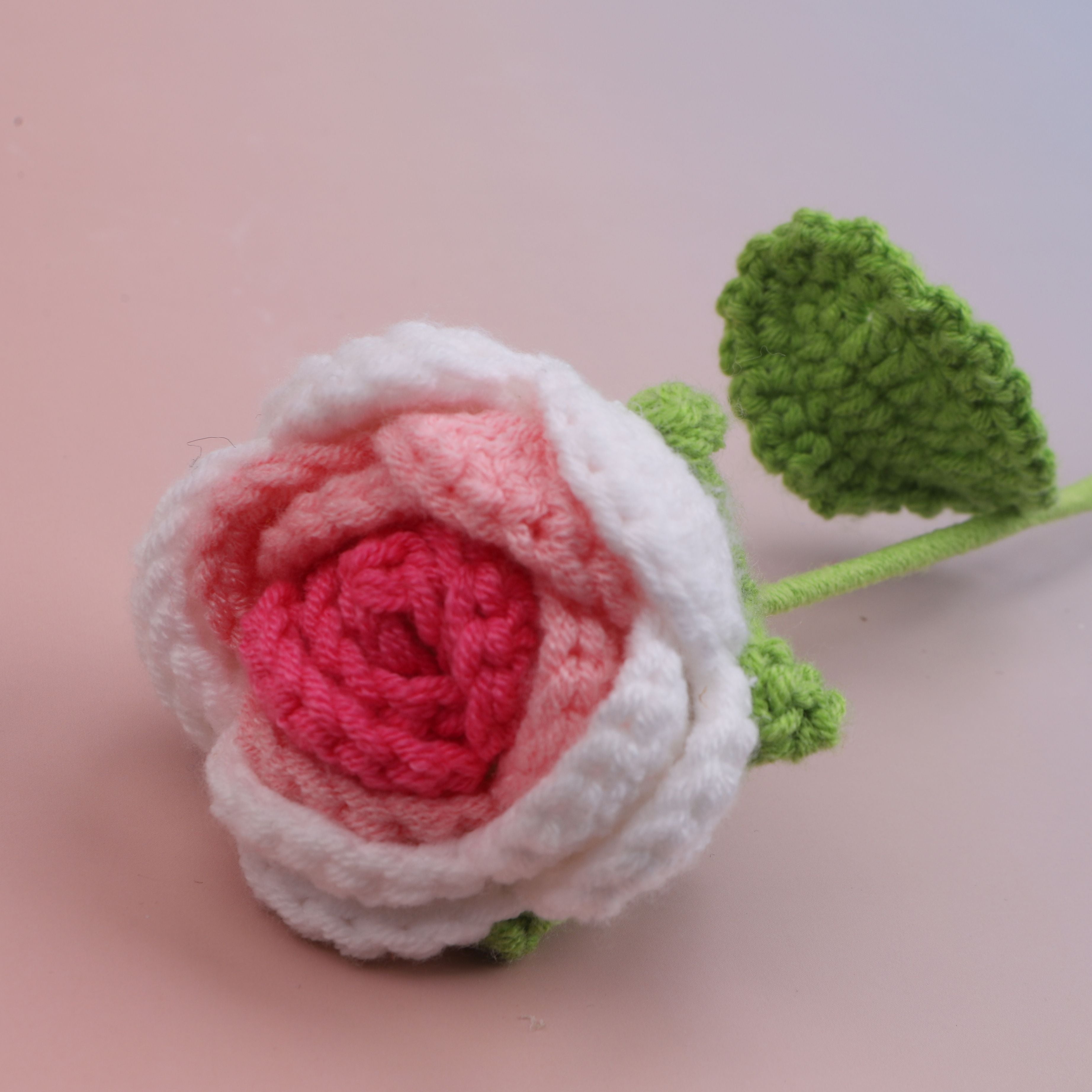 Round Rose