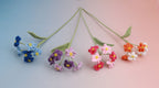 Colorful Forget me Not