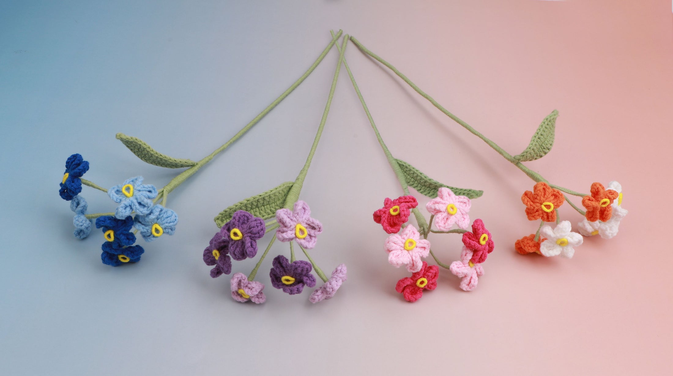 Colorful Forget me Not
