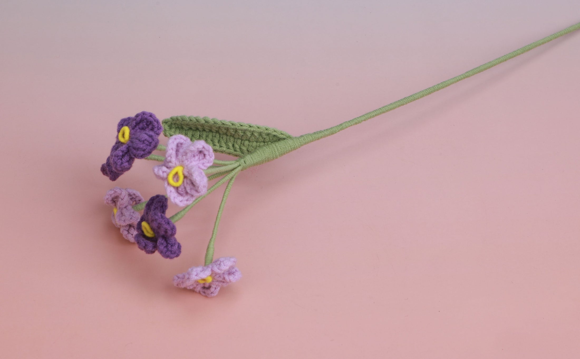 Colorful Forget me Not