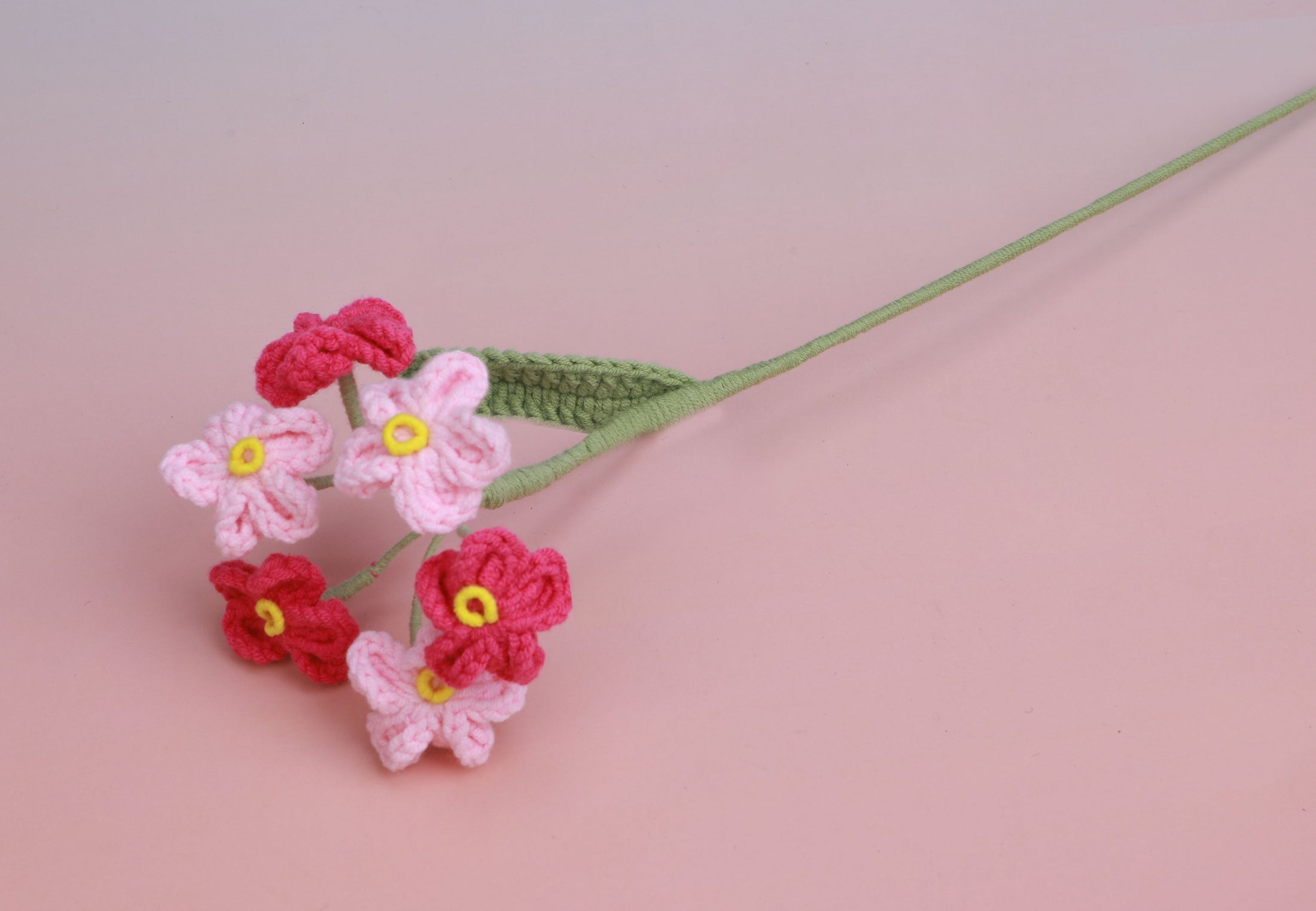 Colorful Forget me Not