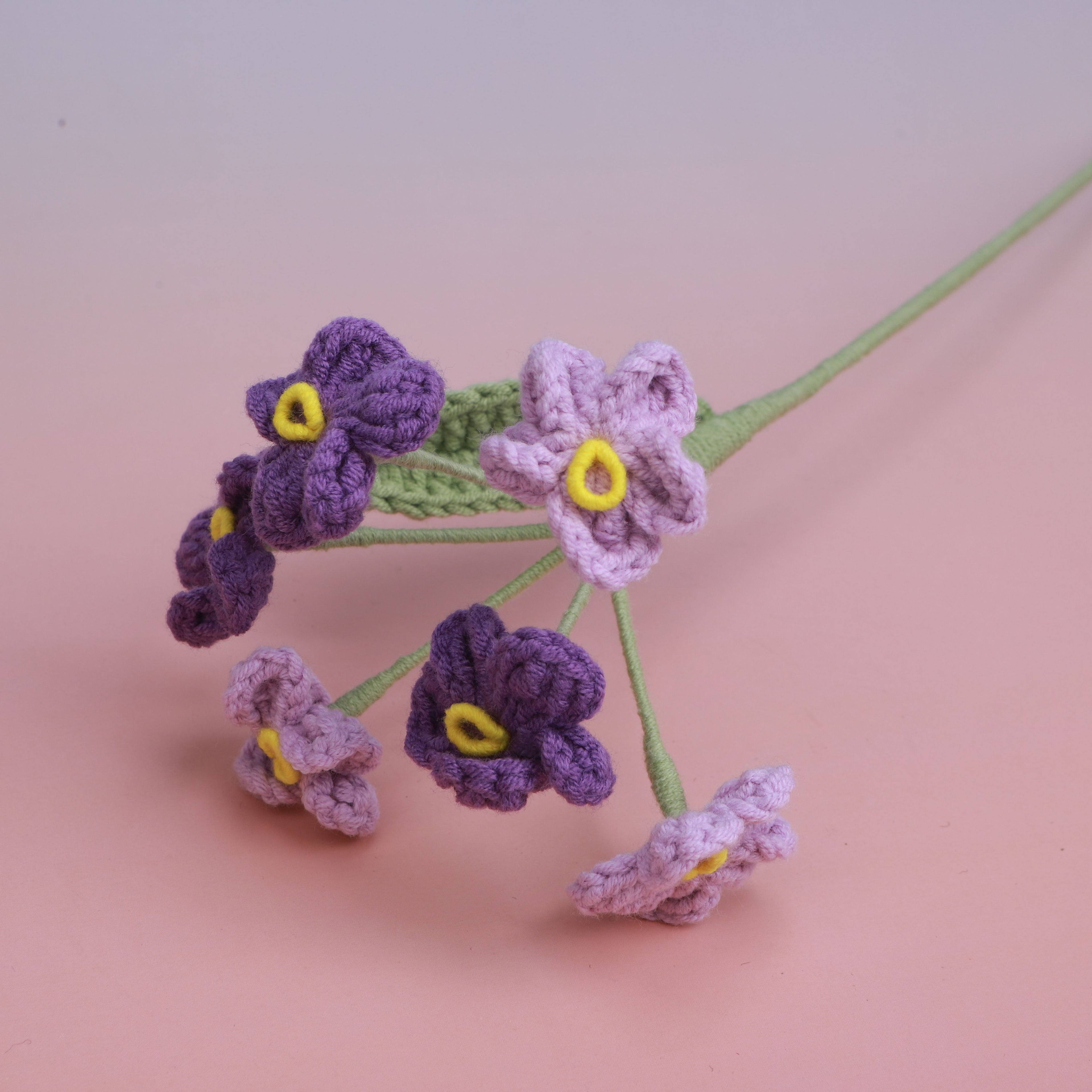 Colorful Forget me Not