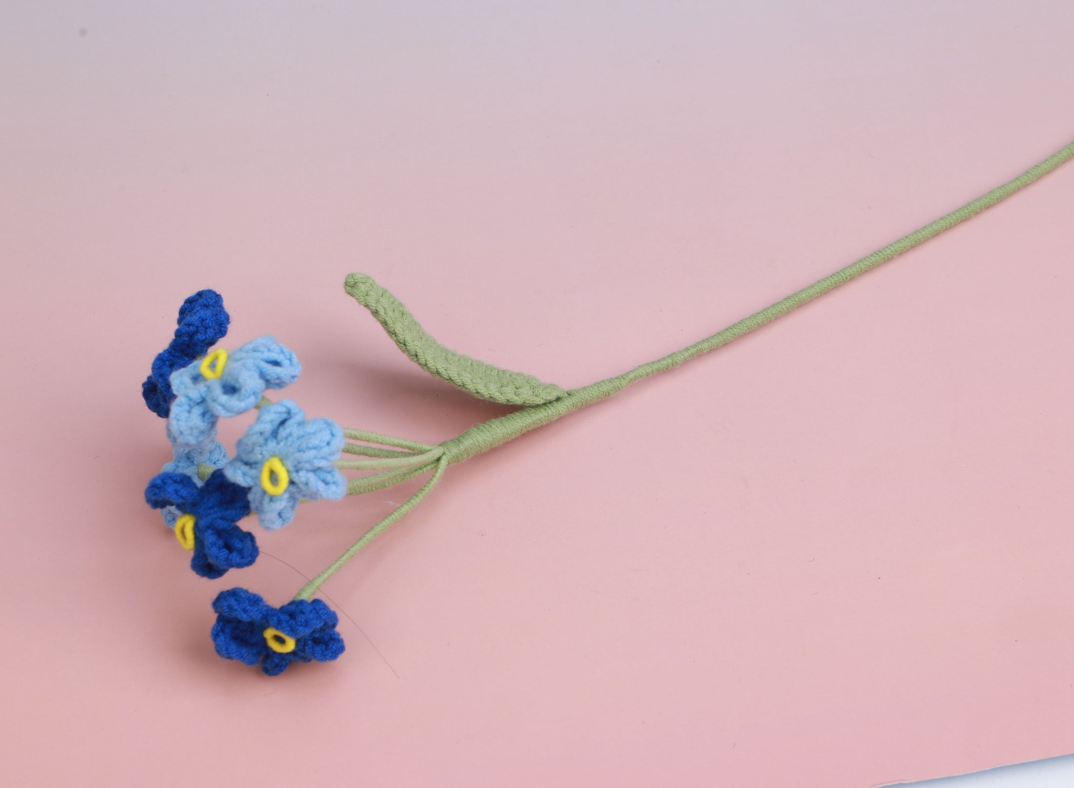 Colorful Forget me Not