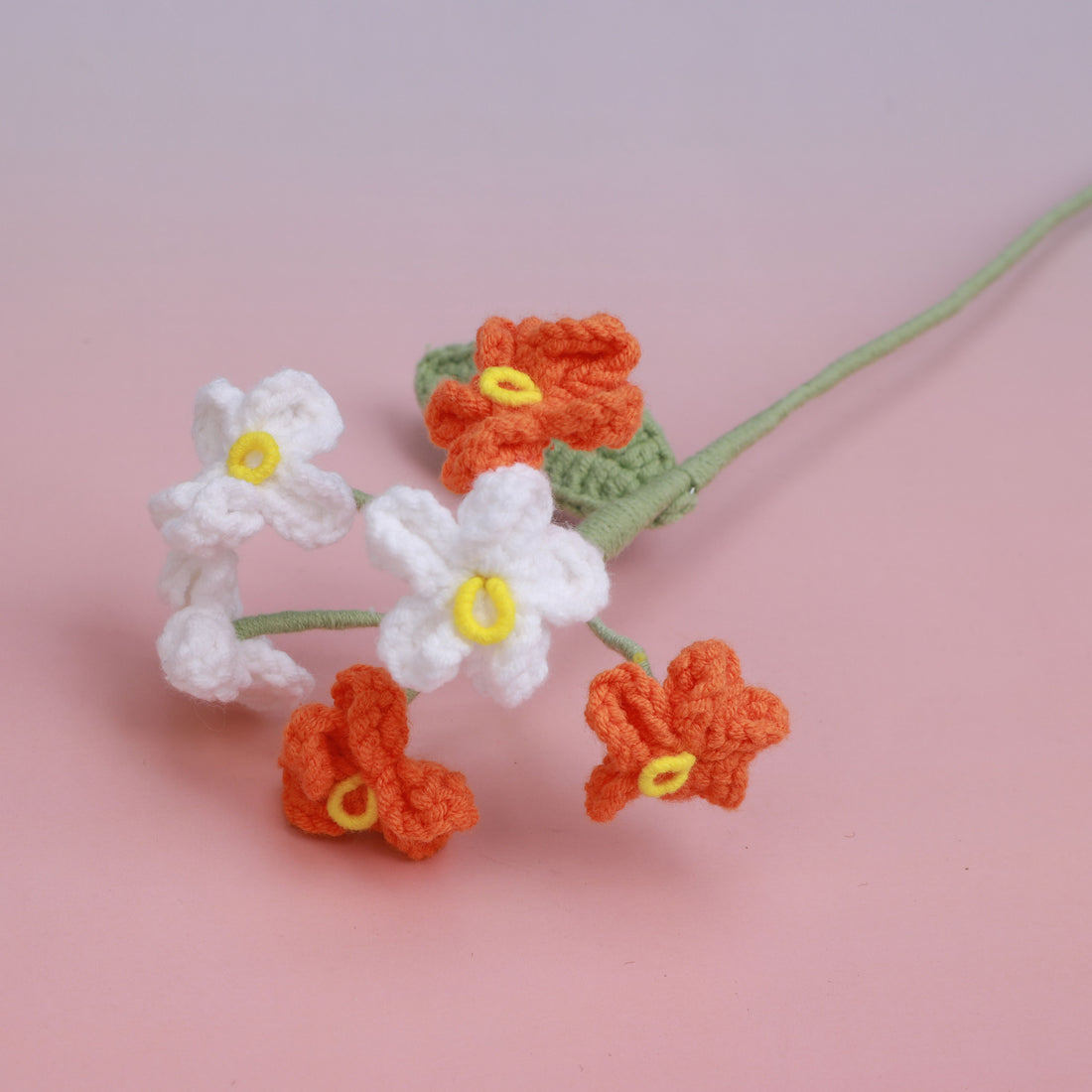 Colorful Forget me Not — Orange
